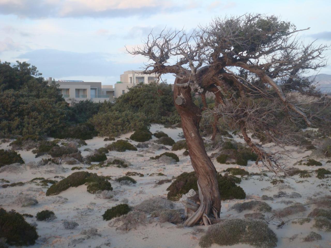 Double Bay Beach Hotel Elafonissos Buitenkant foto